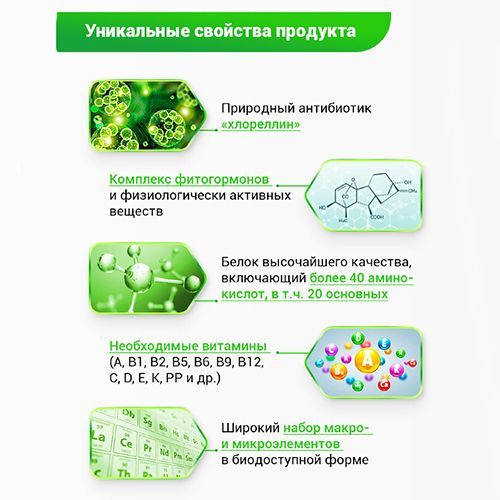 БИО-комплекс Ростобион, органическое удобрение 1 л