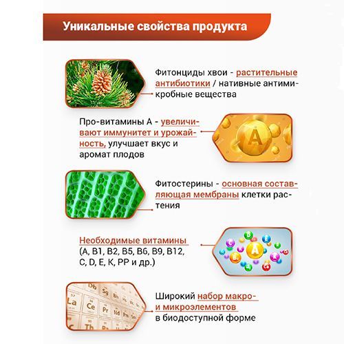 БИО-комплекс Экстракт хвои, иммуностимулятор, защита от насекомых 1 л