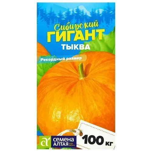 Тыква Сибирский гигант Семена Алтая