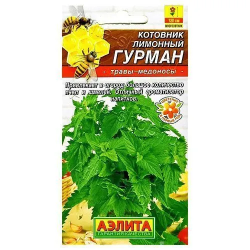 Котовник лимонный Гурман Аэлита