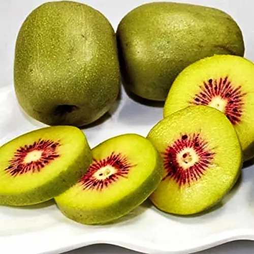 Актинидия красноплодная Zespri Red