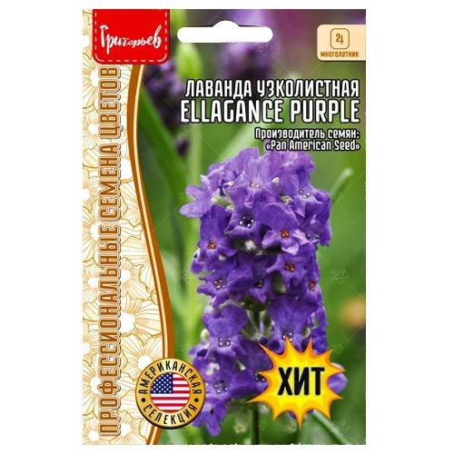 Лаванда узколистная Ellagance Purple Редкие семена