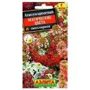 Алиссум Магические цвета, смесь окрасок Аэлита № 1