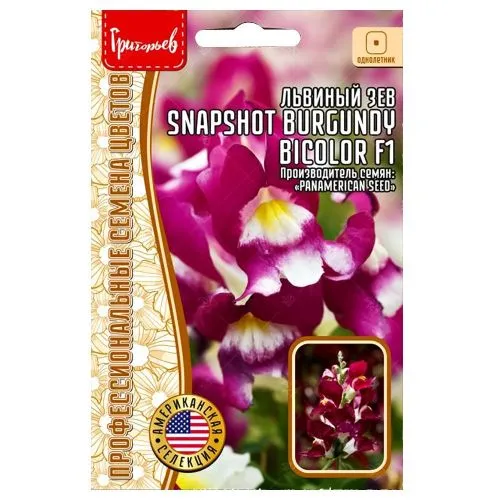 Львиный зев Snapshot Burgundy Bicolor F1 Редкие семена