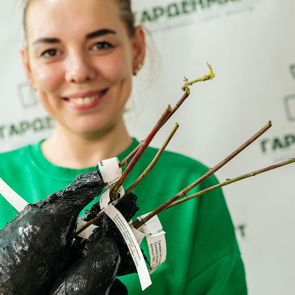 Сверхвыгода! Комплект "Богатый урожай" из 3 сортов